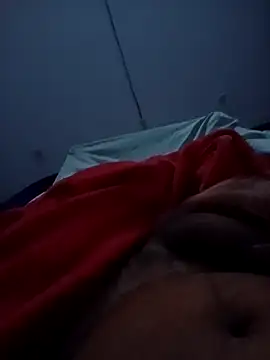 Snapshot of SAlvaador chatting on November 1, 2025, 6:08 am SAlvaador online show from November 1, 2025, 6:08 am