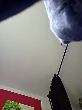 Snapshot of dieGeile0411 chatting on October 25, 2025, 9:52 am dieGeile0411 online show from October 25, 2025, 9:52 am