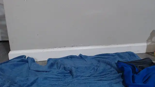 Dogz n daugthers online show from December 17, 2024, 6:24 am