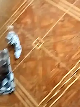 socrathes online show from February 26, 2026, 12:27 pm