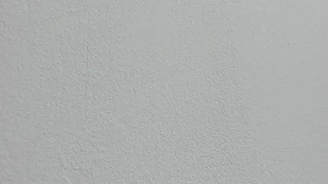 Alejandra Dunn online show from October 5, 2025, 1:35 pm