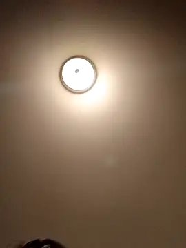 Snapshot of sirchubster chatting on September 29, 2025, 4:08 am sirchubster online show from September 29, 2025, 4:08 am