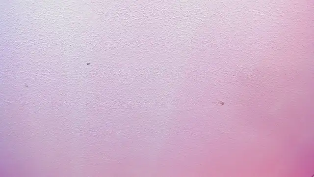 Red lady online show from April 8, 2026, 4:03 am