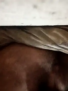 Snapshot of carlos40404 chatting on October 30, 2025, 4:00 am carlos40404 online show from October 30, 2025, 4:00 am