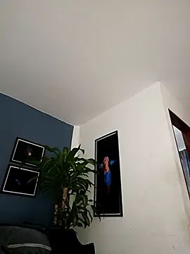 SilvaBranko online show from December 18, 2025, 12:05 am