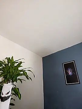 SilvaBranko online show from November 4, 2025, 10:02 pm