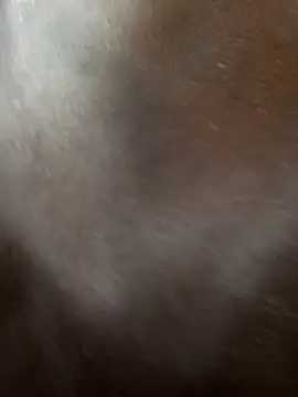 Swirly blac online show from March 12, 2026, 6:39 am