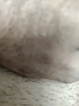 Snapshot of Jack31531 chatting on October 7, 2025, 12:55 am Jack31531 online show from October 7, 2025, 12:55 am