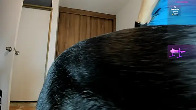 male pussy online show from February 27, 2025, 10:31 pm
