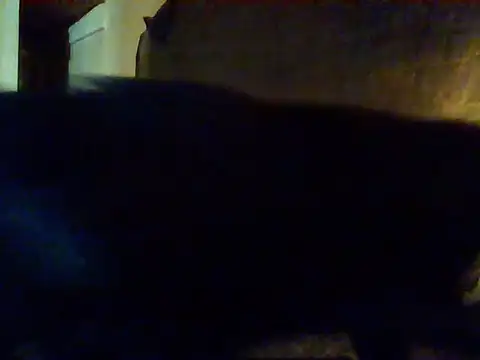 Snapshot of Nightshade7712 chatting on September 16, 2025, 9:38 pm Nightshade7712 online show from September 16, 2025, 9:38 pm