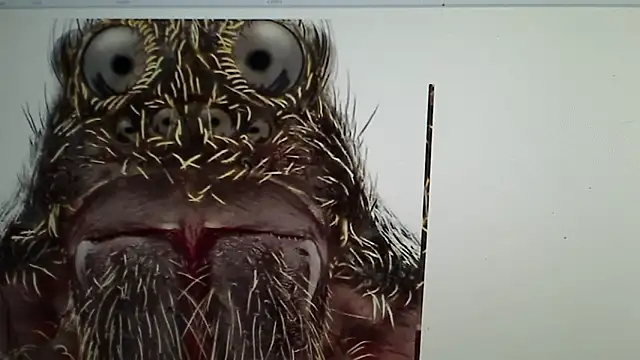 Snapshot of Ireallysquirt chatting on March 12, 2025, 2:41 am Ireallysquirt online show from March 12, 2025, 2:41 am