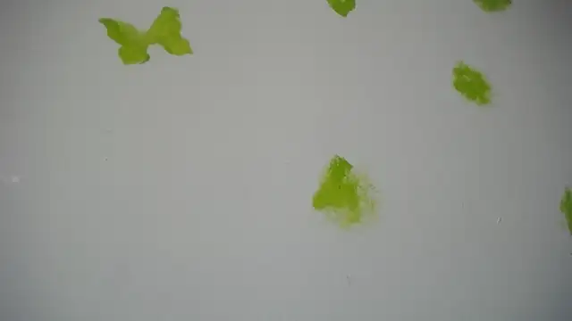 Snapshot of RACHELL__HOT chatting on September 30, 2025, 6:36 pm RACHELL  HOT online show from September 30, 2025, 6:36 pm