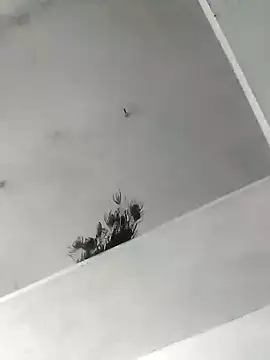 Snapshot of Mafiya1604 chatting on October 22, 2025, 5:29 am Mafiya1604 online show from October 22, 2025, 5:29 am