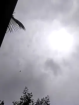 Snapshot of Mafiya1604 chatting on September 19, 2025, 7:34 am Mafiya1604 online show from September 19, 2025, 7:34 am