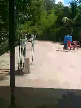 Snapshot of Mafiya1604 chatting on September 25, 2025, 9:48 am Mafiya1604 online show from September 25, 2025, 9:48 am