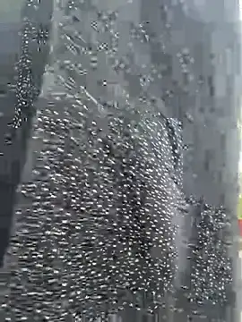 Ishikarana online show from March 13, 2026, 12:37 am