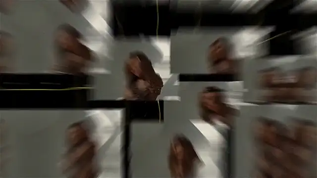 Snapshot of seilyfox chatting on September 25, 2025, 7:47 am seilyfox online show from September 25, 2025, 7:47 am