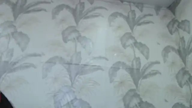 Snapshot of CamDiva113 chatting on February 8, 2025, 10:07 am CamDiva113 online show from February 8, 2025, 10:07 am