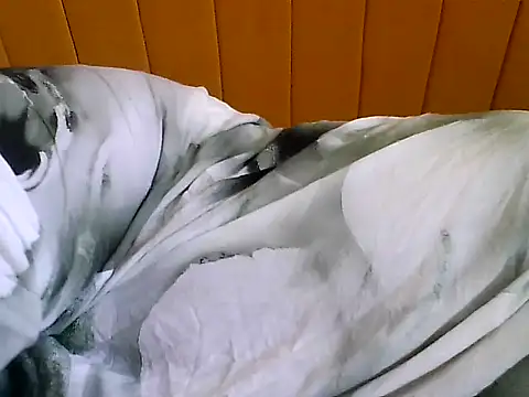 nastygirl- online show from November 23, 2025, 9:30 am