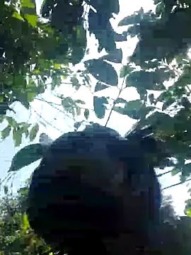 Snapshot of hotpussy-11 chatting on October 26, 2025, 10:48 am hotpussy-11 online show from October 26, 2025, 10:48 am