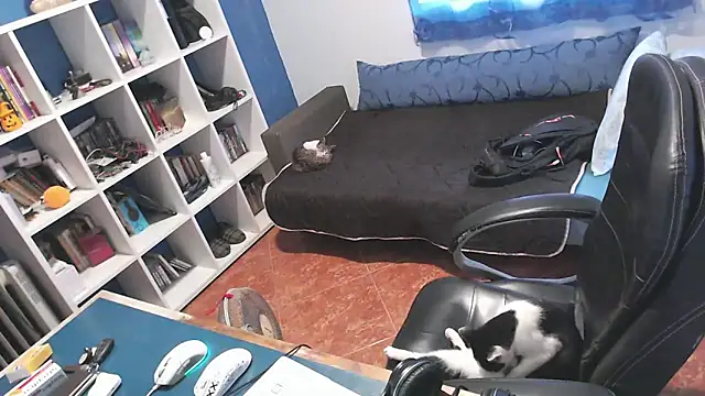 Snapshot of ravingr4d4 chatting on October 24, 2025, 3:22 pm ravingr4d4 online show from October 24, 2025, 3:22 pm