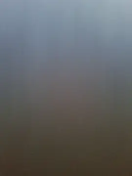 pachapeter online show from April 20, 2026, 12:52 pm