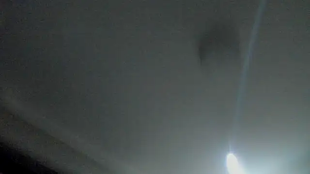 RosaCatalleya online show from September 23, 2025, 4:08 am