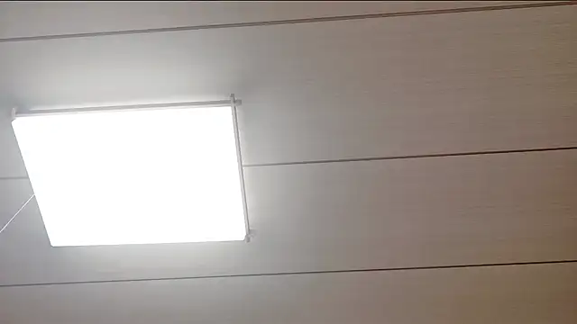 Snapshot of xxArisaxx chatting on February 11, 2026, 6:02 am xxArisaxx online show from February 11, 2026, 6:02 am