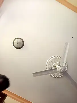 Snapshot of zainabsmile chatting on October 10, 2025, 9:54 am zainabsmile online show from October 10, 2025, 9:54 am