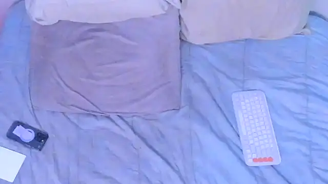 stillwild online show from March 12, 2026, 11:14 am