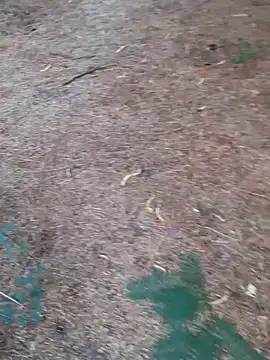 Ajith mvi online show from April 16, 2026, 1:28 am