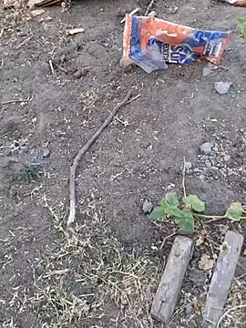 Ajith mvi online show from April 8, 2026, 1:18 am