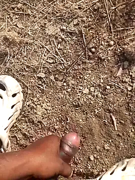 Ajith mvi online show from February 18, 2026, 3:37 am