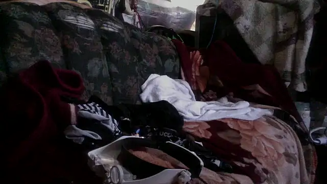 Snapshot of Phelyxx_elgato chatting on December 9, 2024, 12:12 am Phelyxx elgato online show from December 9, 2024, 12:12 am