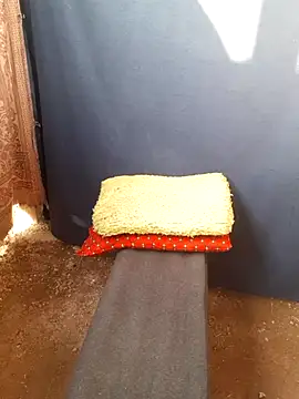 Snapshot of Burhade-- chatting on October 12, 2025, 11:33 am Burhade-- online show from October 12, 2025, 11:33 am