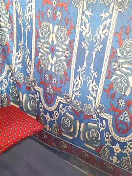 Snapshot of Burhade-- chatting on October 19, 2025, 5:21 am Burhade-- online show from October 19, 2025, 5:21 am