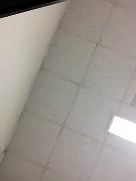 Snapshot of Fred_bo chatting on October 24, 2025, 4:17 pm Fred bo online show from October 24, 2025, 4:17 pm