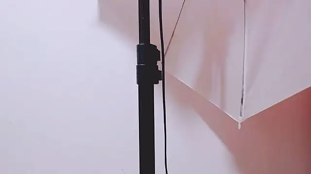 Snapshot of MaidenGame chatting on February 10, 2026, 3:11 pm MaidenGame online show from February 10, 2026, 3:11 pm