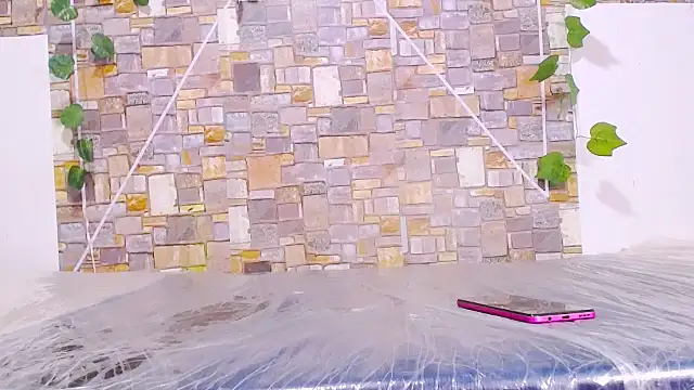 Snapshot of MaidenGame chatting on January 17, 2026, 12:20 pm MaidenGame online show from January 17, 2026, 12:20 pm