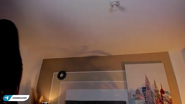 Snapshot of missmegann chatting on January 29, 2025, 12:56 pm missmegann online show from January 29, 2025, 12:56 pm