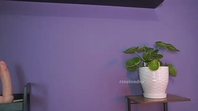 roselinedior online show from May 26, 2026, 1:31 pm