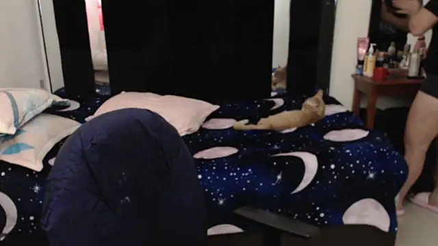 Snapshot of CATRINA-83 chatting on October 7, 2025, 11:28 pm CATRINA-83 online show from October 7, 2025, 11:28 pm