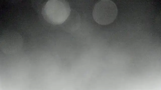 Snapshot of Bitch_Coin chatting on November 10, 2025, 4:23 pm Bitch Coin online show from November 10, 2025, 4:23 pm