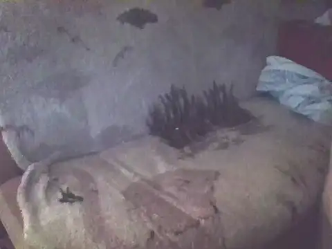 Bigheadxxx1 online show from December 19, 2025, 6:49 am