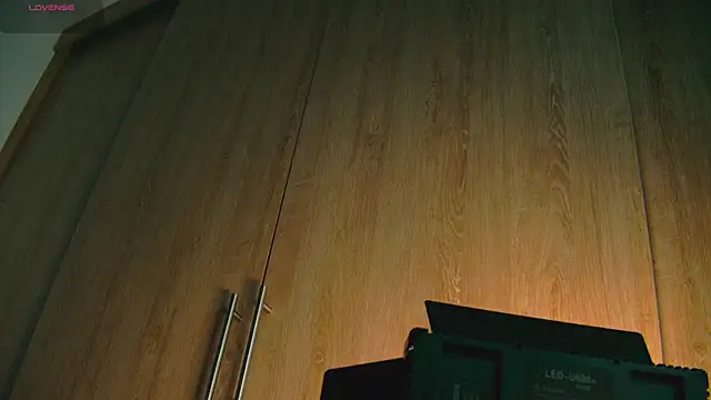 Snapshot of aidaadams chatting on October 25, 2025, 8:24 am aidaadams online show from October 25, 2025, 8:24 am