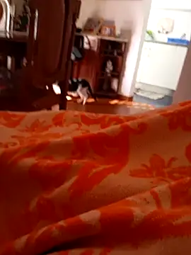 sonia1488 online show from December 27, 2024, 12:23 pm