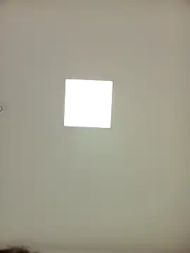 sonia1488 online show from December 23, 2024, 3:55 pm