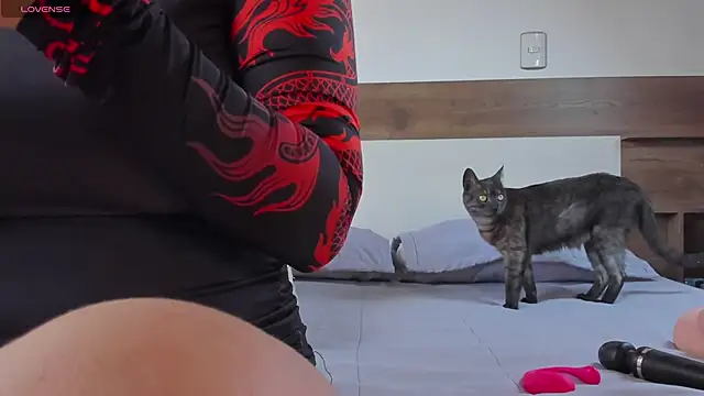 Snapshot of _fullmoon chatting on October 3, 2025, 5:47 pm  fullmoon online show from October 3, 2025, 5:47 pm