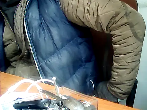 zormen355 online show from December 1, 2025, 11:33 am