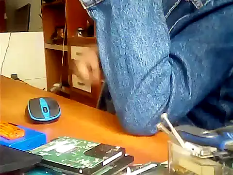 zormen355 online show from September 30, 2025, 8:31 am